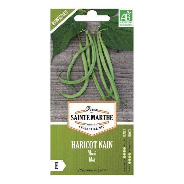 Haricots nain Maxi Filet bio - Graines à semer