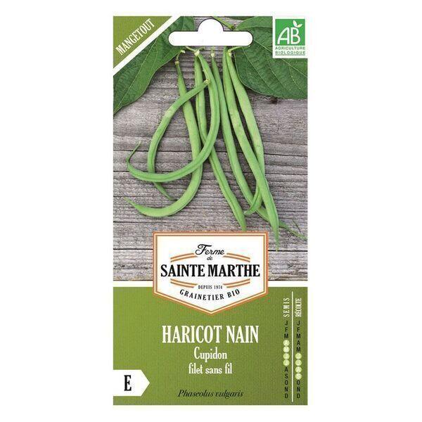 Haricots nain Cupidon bio - Graines à semer