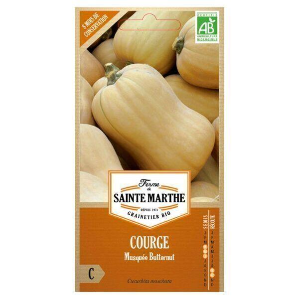 Graines à semer - Courge butternut bio