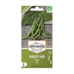 Haricots nain bio Pongo Filet - Graines à semer