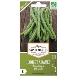 Haricots mangetout Neckarkonigin bio - Graines à semer