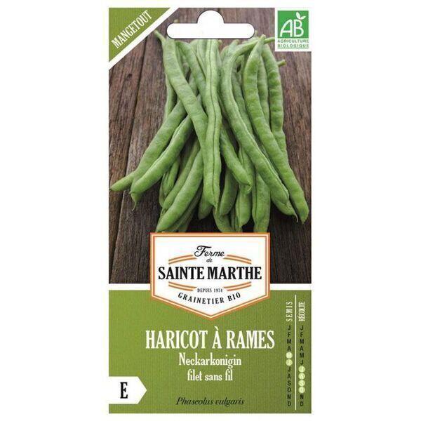 Haricots mangetout Neckarkonigin bio - Graines à semer