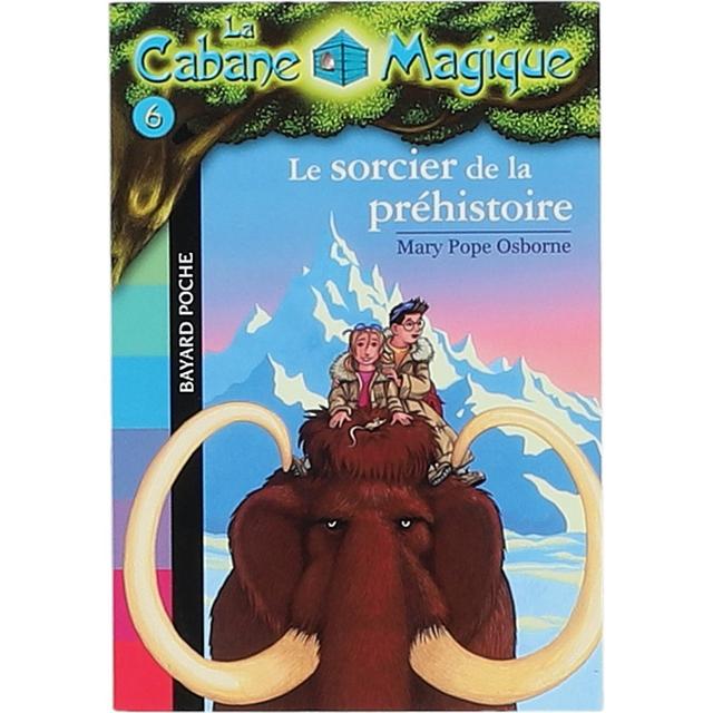 BAYARD_JEUNESSE - La Cabane Magique 6 - Le Sorcier de la Préhist