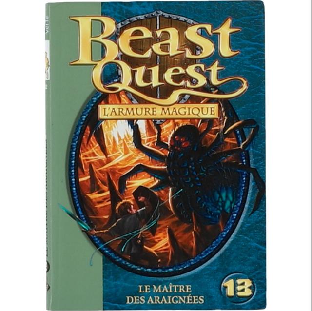 BIBLIOTHEQUE_VERTE - Beast Quest 592 Le Maître des Araignées