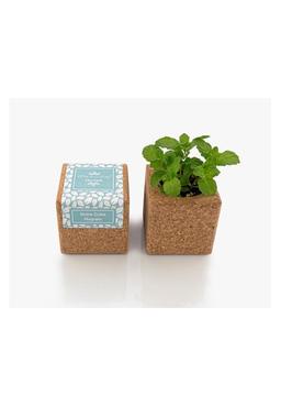 grow cube aimanté menthe