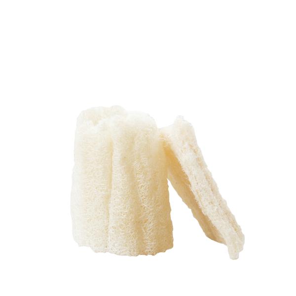 Luffa naturel | Taille M