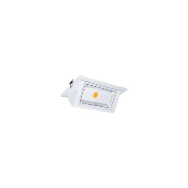 Spot LED Encastrable Orientable AC220/240V 40W 4300lm 120° Etan