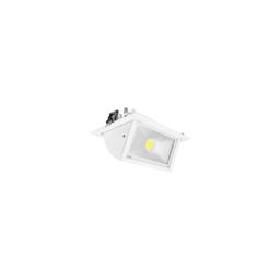 Spot LED Encastrable Orientable AC220/240V 30W 3200lm 90° Etanc