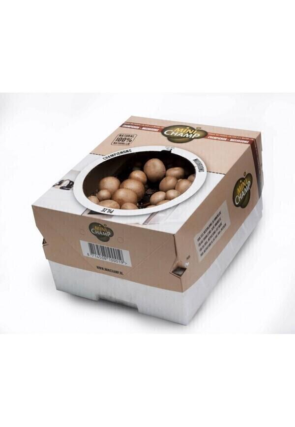 Kit culture champignons bruns Minichamp 7.5 litres