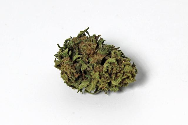 Fleurs CBD HARLEQUIN 11,9% Outdoor (10g)