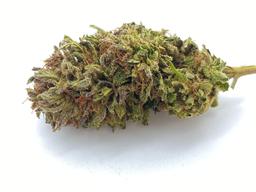 Fleurs CBD LEMON HAZE 12,6% (5g)