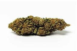 Fleurs CBD ORANGE BUD 7,3% (20g)