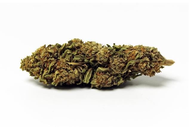 Fleurs CBD ORANGE BUD 7,3% (20g)