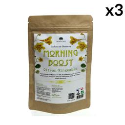 Lot 3 Infusions Bio MORNING BOOST, Chanvre CBD 25%