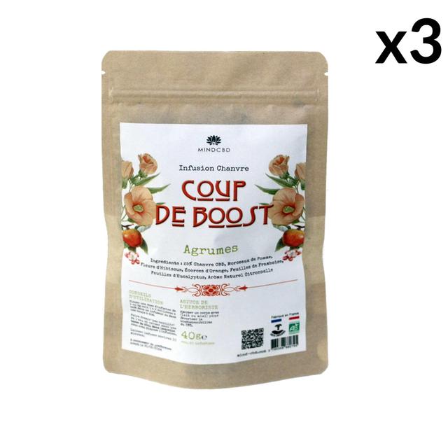 Lot 3 Infusions Bio COUP DE BOOST Agrumes, Chanvre CBD 25%