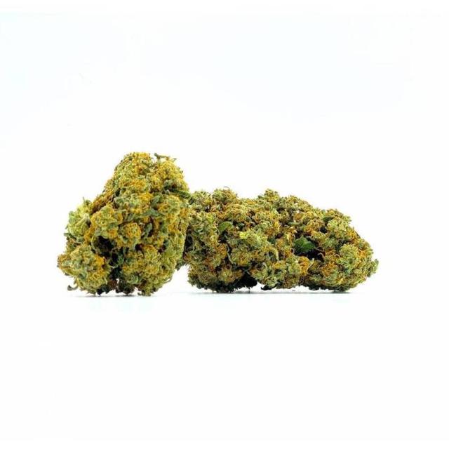 Fleurs CBD ORANGELLO 14,1% Indoor (100g)