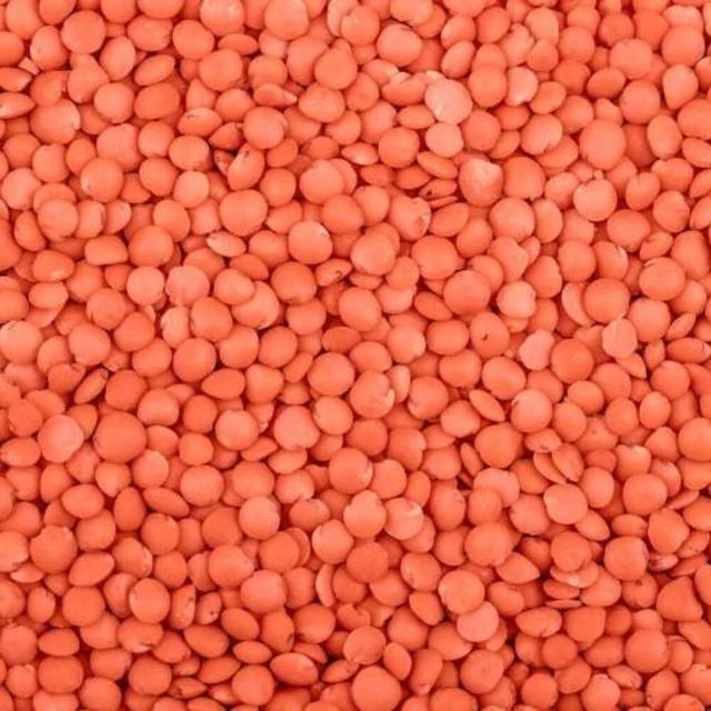 Lentilles rouges corail (origine Turquie) - 5 kg BIO