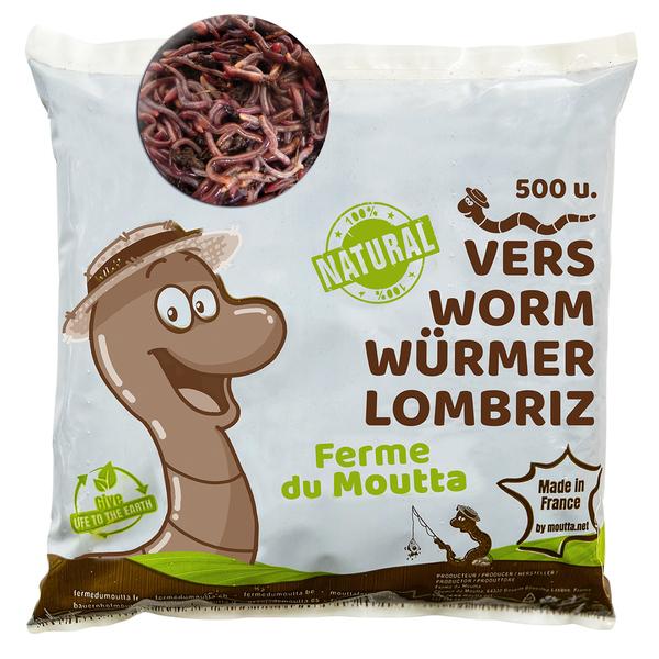 250gr de Vers de compost / Lombric