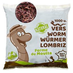 500gr de Vers de compost / Lombric