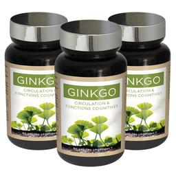 Ginkgo - Equilibre nerveux et mental - Circulation sanguine