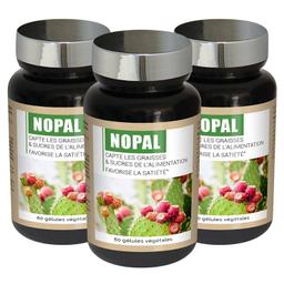 Nopal - Favorise la satiété - Capte les graisses