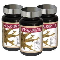 3 X Harpagophyum