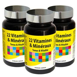 22 vitamines & minéraux - Soutient les défenses naturelles x3