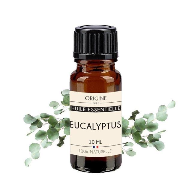 Eucalyptus globuleux huile essentielle bio 10 ML - Origine bio