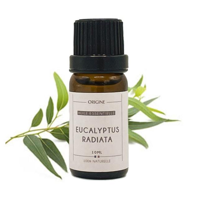 Eucalyptus radié Huile essentielle Bio 10 ml  (Eucalyptus radiat