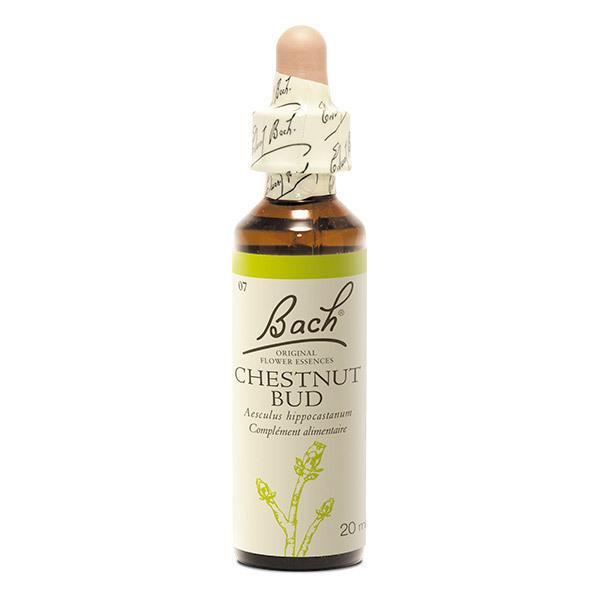 Fleur de Bach n°7 Chestnut Bud - Flacon compte-goutte de 20mL