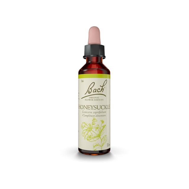 Fleur de Bach n°16 Honeysuckle - Flacon compte-goutte 20mL