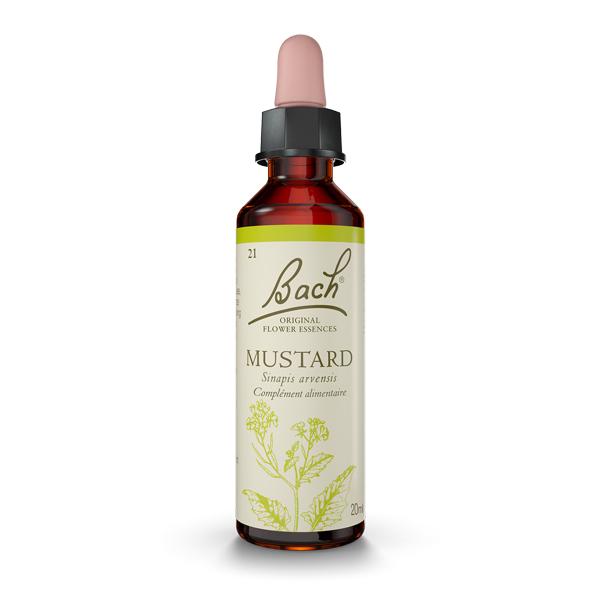 Fleur de Bach n°21 Mustard - Flacon compte-goutte 20mL