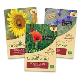 Lot de 3 sachets de Graines de fleurs