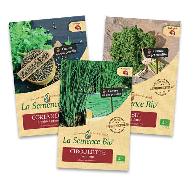 Lot de 3 sachets de Graines d'aromates