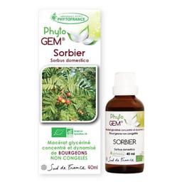 Gemmothérapie Sorbier Bio Phyto'gem de bourgeons