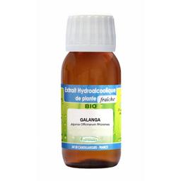 Teinture Mère Galanga Bio - 125Ml - Phytofrance