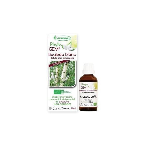 Gemmothérapie Bouleau Blanc Chatons (Bio) - 40Ml - Phytofrance -