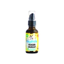 Huile végétale de Rosier Muscat - 30 mL