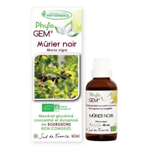 Gemmothérapie Mûrier noir bio Phyto'gem de bourgeons