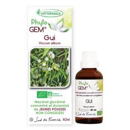 Gemmothérapie Gui bio Phyto'gem de bourgeons