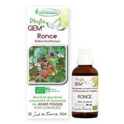 Gemmothérapie Ronce Bio Phyto'gem de jeunes pousses