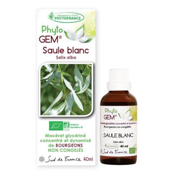 Gemmothérapie Saule blanc blanc Phyto'gem