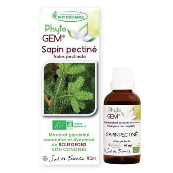 Gemmothérapie Sapin pectiné bio Phyto'gem de jeunes pousses