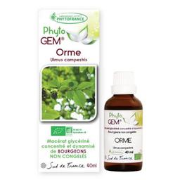 Orme champêtre Bio Phyto'gem de bourgeons - 40ml