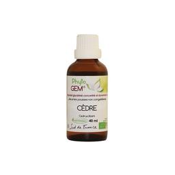 Cèdre du Liban Bio Phyto'gem de jeunes pousses - 40ml