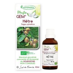 Hêtre bio Phyto'gem de bourgeons - 40ml