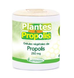 Propolis en gélule