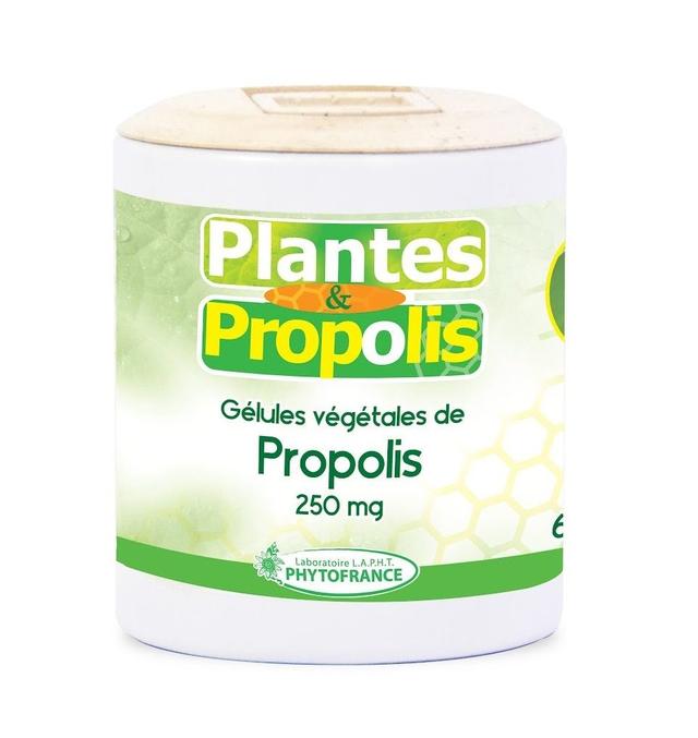 Propolis en gélule