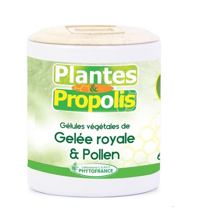 Gelée royale et pollen