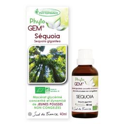 Séquoïa Bio Phyto'gem de bourgeons - 40ml